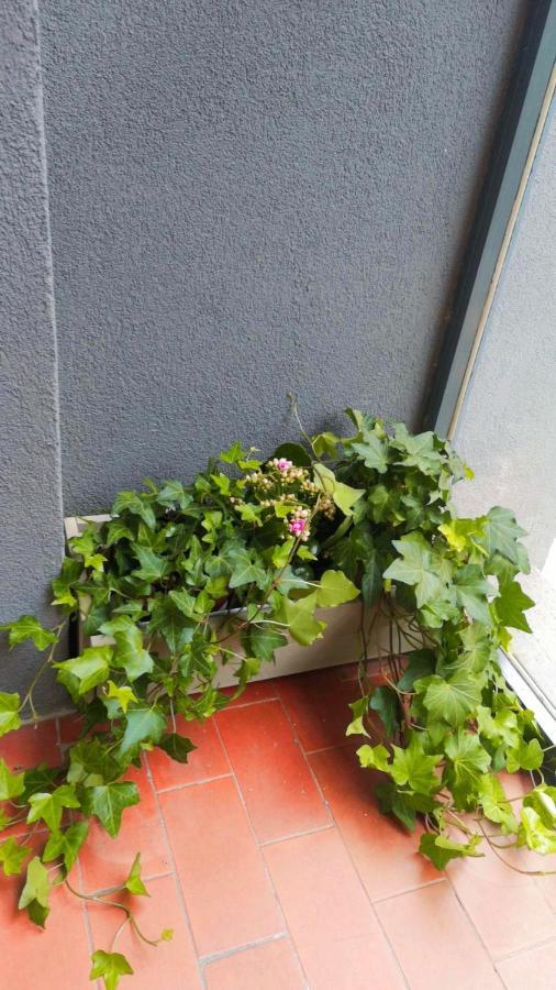 Apartamento So Fine Petruzzelli Flat Bari Exterior foto